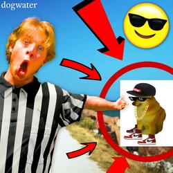 DOGWATER