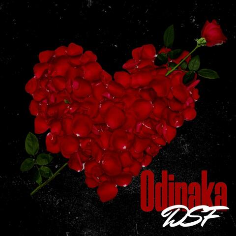 Odinaka