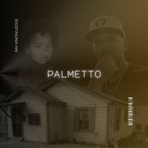 Palmetto