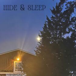 HIDE & SLEEP (feat. VERDORA)