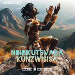 Ndirikutsvaka Kunzwisisa