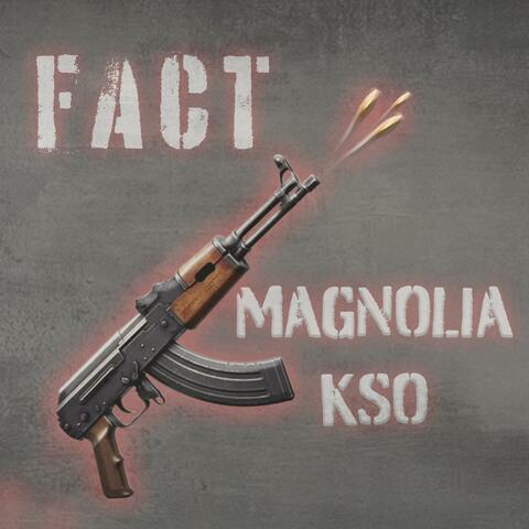 Fact