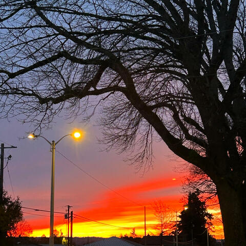 The Sky Is Bleeding