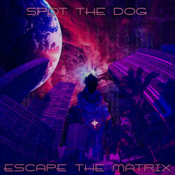 Escape the Matrix