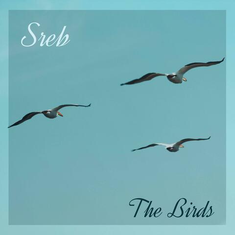 The Birds