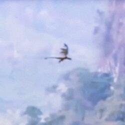 flying