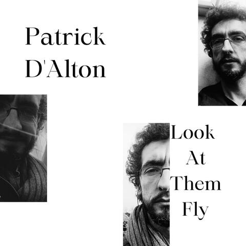 Look At Them Fly