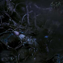 chaque chose en son temps