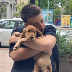 Napıcam bilmiyorum hiç