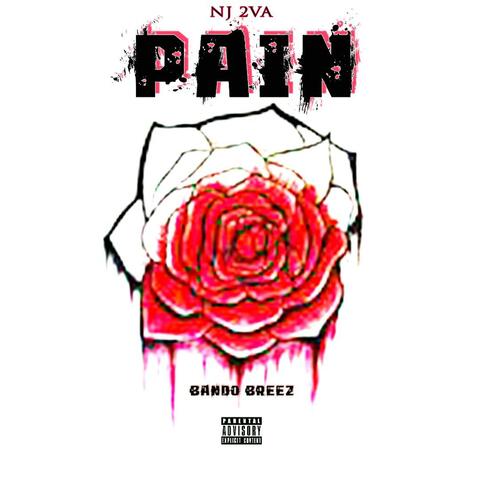 Pain