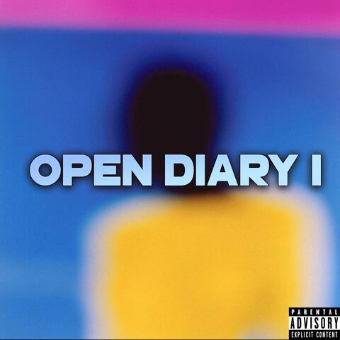 Open Diary I