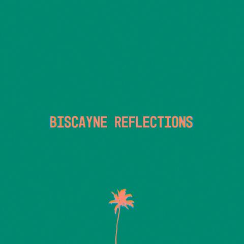 Biscayne Reflections