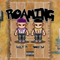 ROAMING (feat. Tomy SJ)