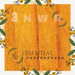 Essential Underground