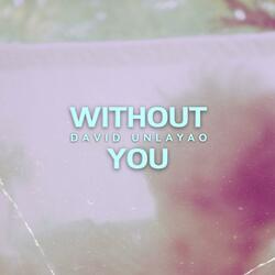 Without You