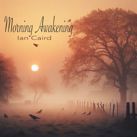 Morning Awakening