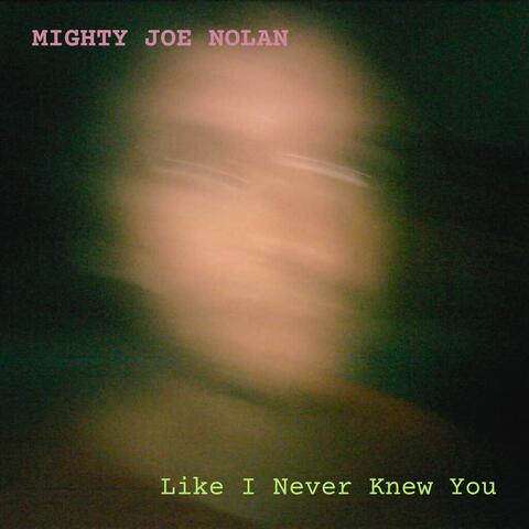 Like I Never Knew You