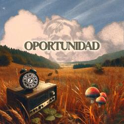 Oportunidad