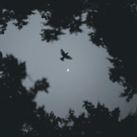 Descent