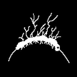 The Descent