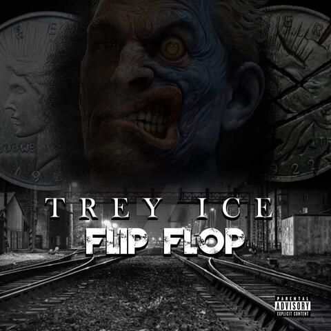 Flip Flop