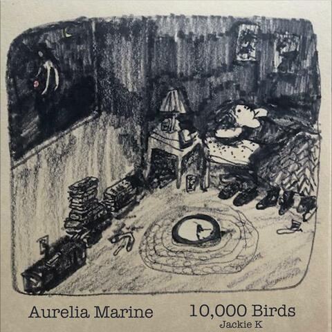 10,000 Birds