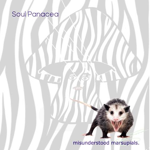 misunderstood marsupials.