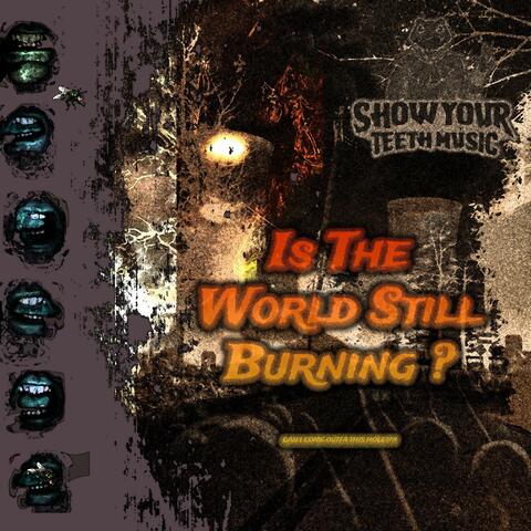 Is the World Still Burning?