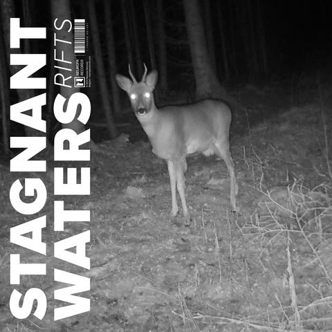 Stagnant Waters