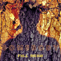 Somebody