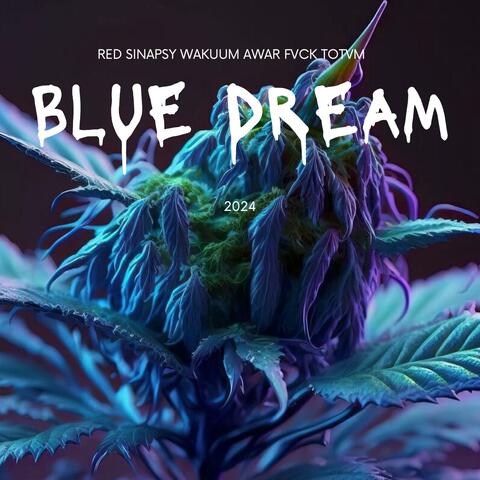 Blue Dream 2024