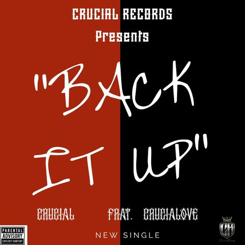 Back IT UP