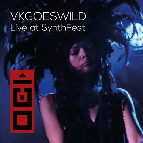 Live at SynthFest