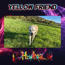 Yellow Friend