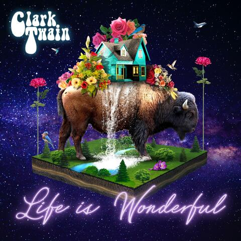 Life is Wonderful