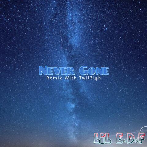 Never Gone (feat. Twil3igh) [Remix]