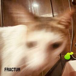 Fractur