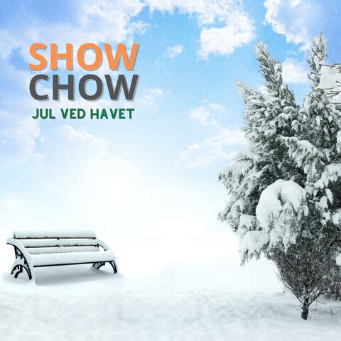 Jul Ved Havet