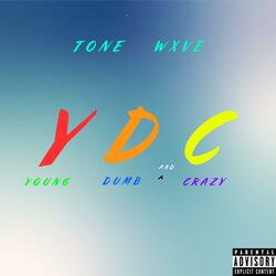 Y.D.C. (Young, Dumb & Crazy)