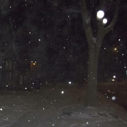 never could I doubt it