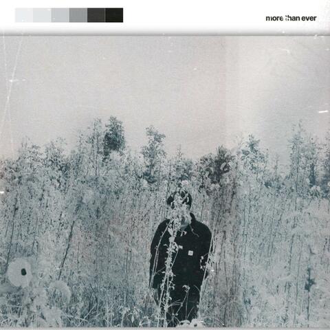 more than ever (feat. M)