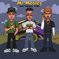 MR MOSLEY (feat. Lil Nate & Getdamemo)