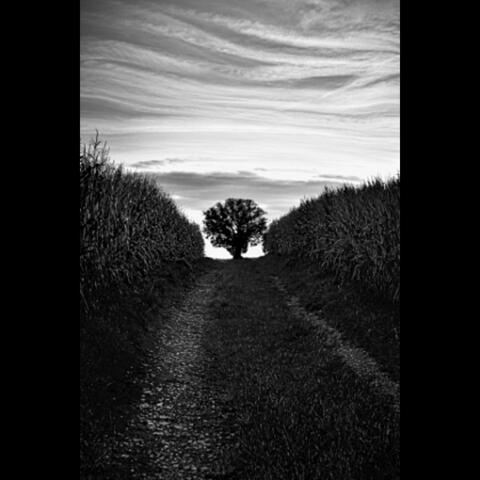 Long Way Home