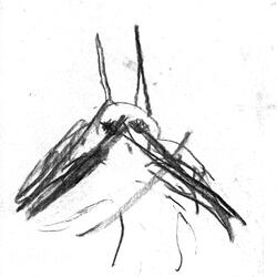 ATTICUS