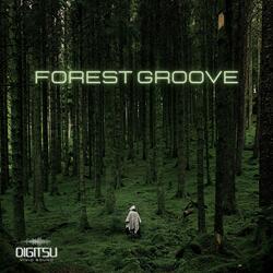 Forest Groove