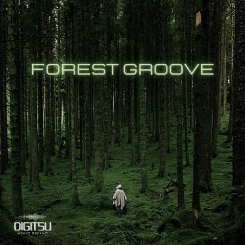 Forest Groove