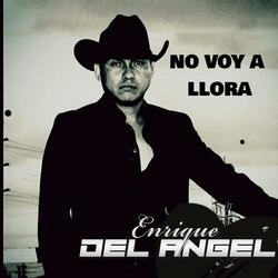 NO VOY A LLORAR
