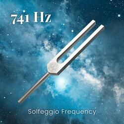 741 Hz Solfeggio Frequency (Tuning Fork)
