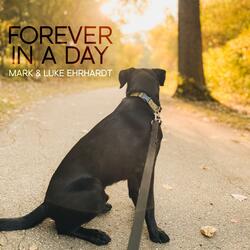 Forever in a Day