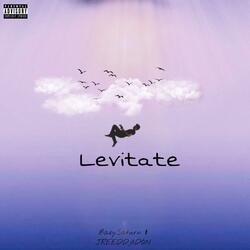 levitate (feat. JREEDDADON)